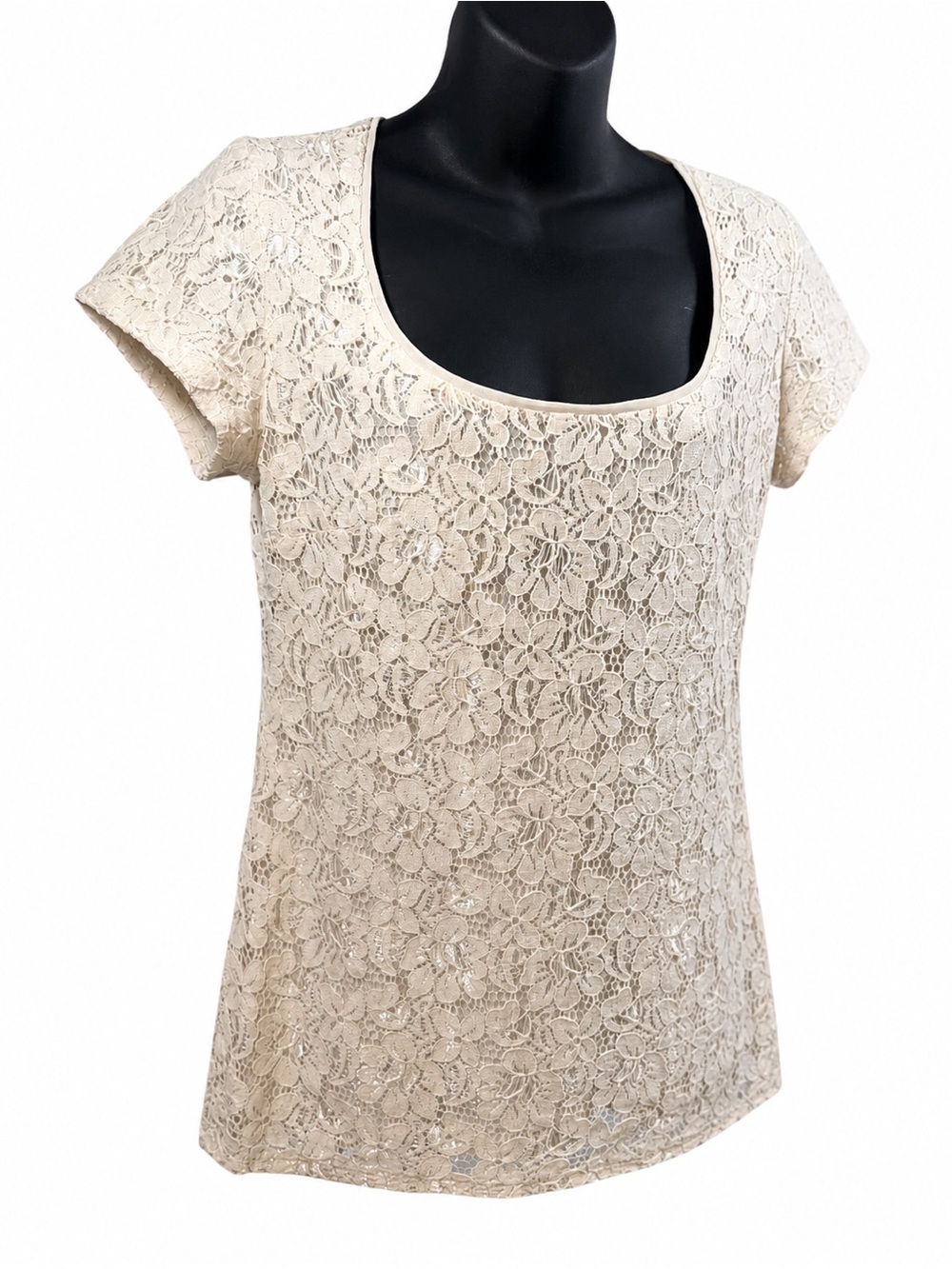 White House Black Market Cream Lace Scoop Neck Short Sleeve Top | small
